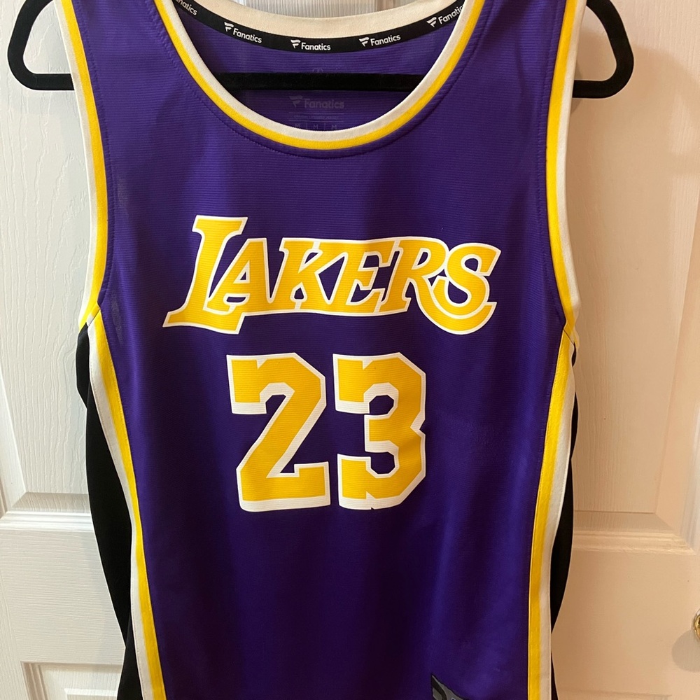 LeBron James original Lakers #23 Authentic jersey